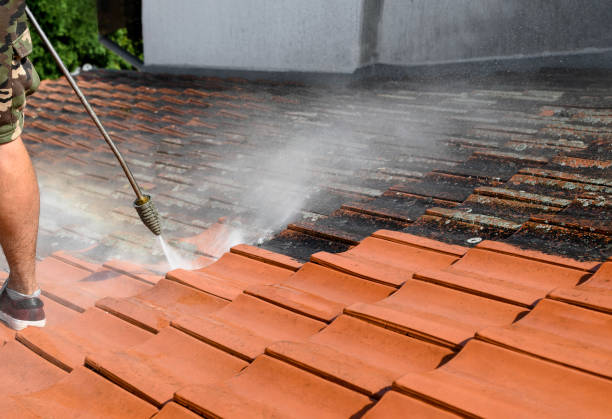 Best Power Washing Near Me  in Beaver Dam Lake, NY
